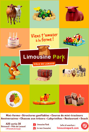 Limousine Park !
